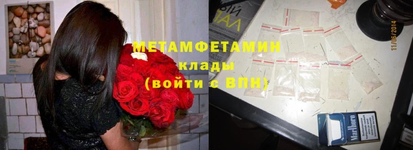 шишки Карпинск