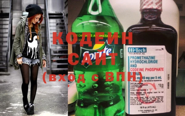 шишки Карпинск