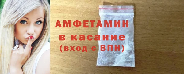 шишки Карпинск