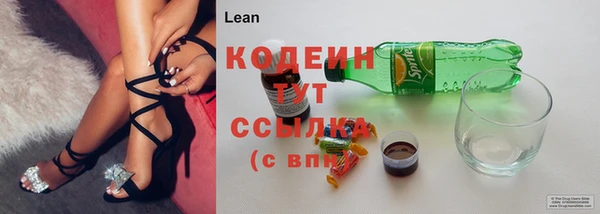 шишки Карпинск