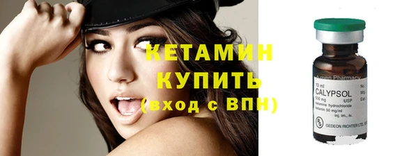 шишки Карпинск
