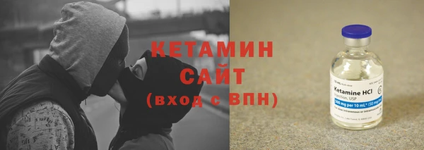 шишки Карпинск