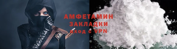 шишки Карпинск