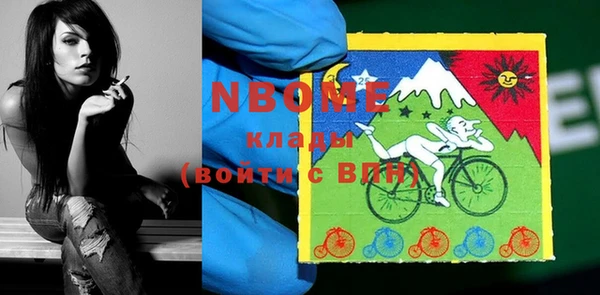 шишки Карпинск