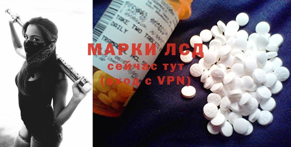 шишки Карпинск