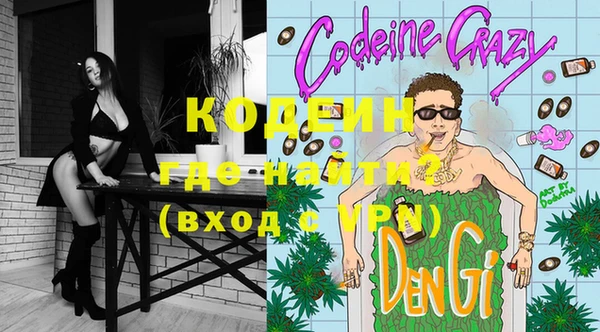 шишки Карпинск