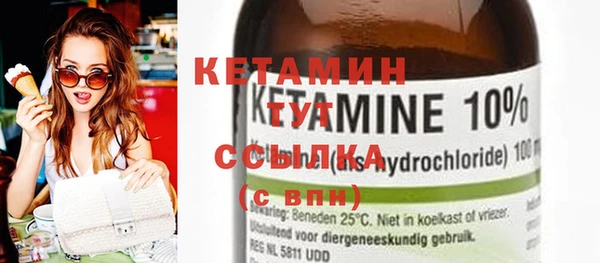 шишки Карпинск