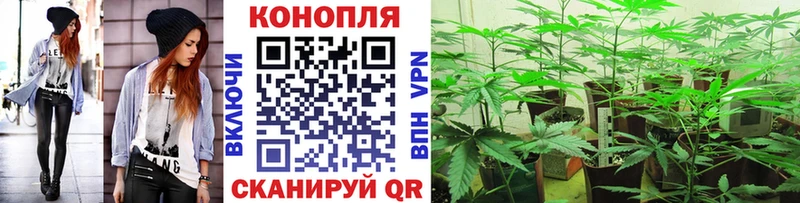 Марихуана ГИДРОПОН  Купить закладки  Аркадак 